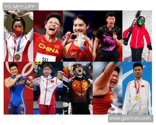 中国体育明星实力对比与成就分析图解