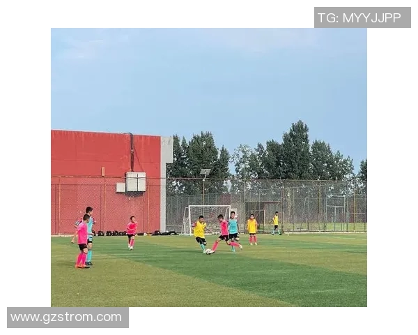 镇安县足球明星盘点及其在足球界的影响力分析